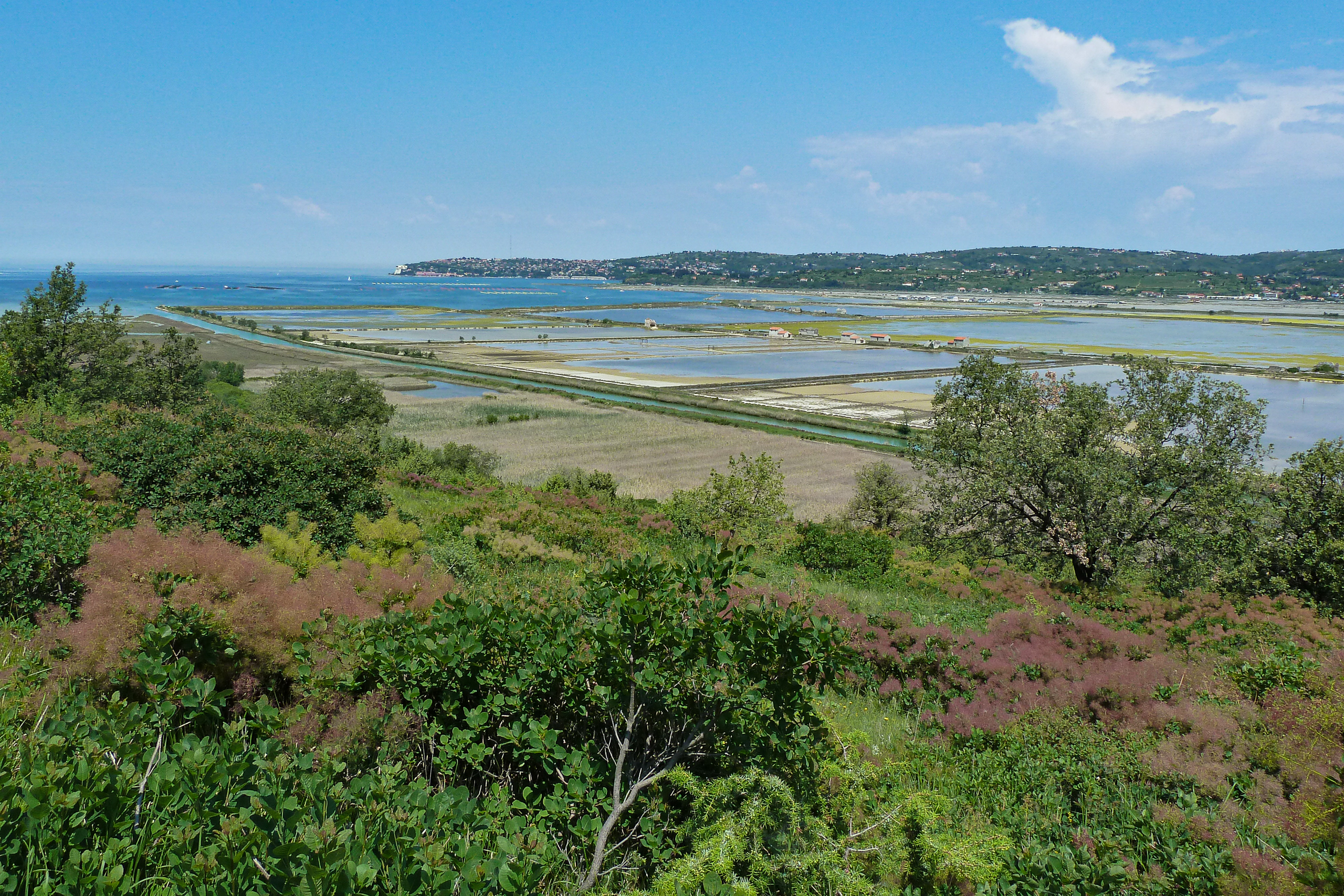 Blick von der Parenzana auf die Salinen von Portorož